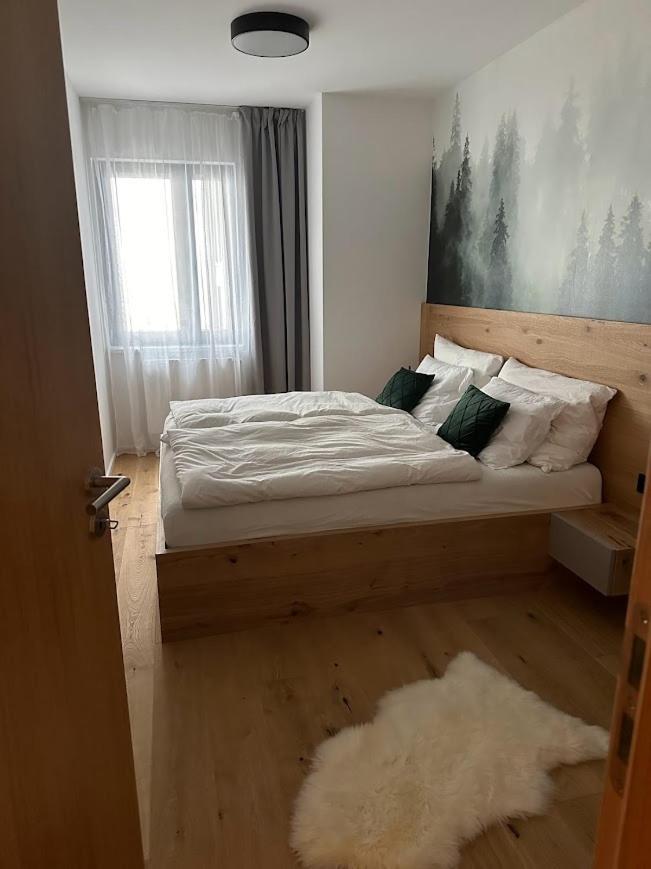 Apartman Janské Lázně Eksteriør billede